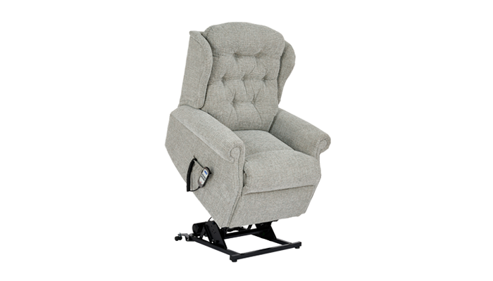 Petite Power Riser Recliner